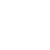 Turtle white