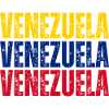 Flag of Venezuela, Venezuelan pride