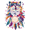Raccoon Dream Catcher