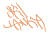 Sri Lanka Souvenir T-Shirt