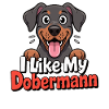 J’aime mon chien Doberman Love