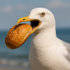 Uccello gabbiano con panino nel becco del porto del Mare del Nord