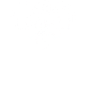 Éléphant blanc