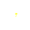 Malle 2025