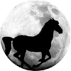 Pferd Vollmond Pferde