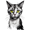 Cat I