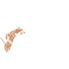 Skeleton running
