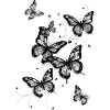 Schmetterlinge