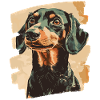 Dackel Dachshund