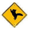 Caution cat