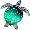 Sea Turtle