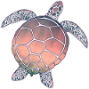 Sea Turtle