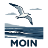 Moin Möwe