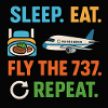Die737 routine