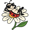 Cool Ladybug on Daisy
