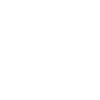 Detailed skull