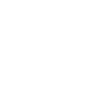 Team Bride 2025