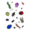 Bugs