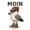 Moin Möwe