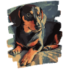 Dackel Dachshund
