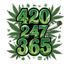 420 Lifestyle 247 365