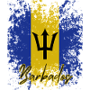 Flag of Barbados, Barbadian pride