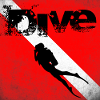 American Diver Down Flag SCUBA