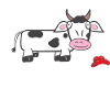 Schwarzwald Kuhl Bollenhut