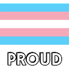 PROUD trans flag