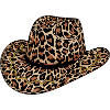 Cowboy Hat, Weste Hat