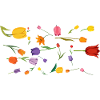 Flowers Tulips Spring