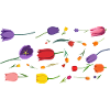 Flowers Spring Tulips