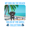 My dog on the beach