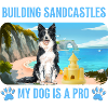 My dog on the beach