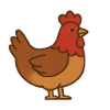 Huhn