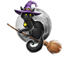 Cat Witch Riding Broom