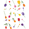 Blumen