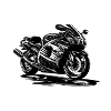 Wanderfalke one
