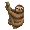 Sloths: Masters of deceleration