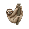 Sloths: Masters of deceleration