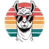 Retro Style Llama Sunglasses Funny Summer Alpaca