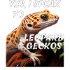 , JE PARLE AUX GECKOS LÉOPARDS