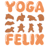 Cat Yoga Felix