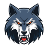 Angry gray wolf
