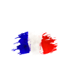 Lyon France Ville Drapeau Lyon