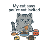 Cat says no