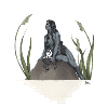 Nymph in a pond