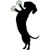 Adorable Dachshund Silhouette Design
