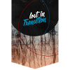 perdu dans la transition