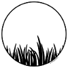 Gras